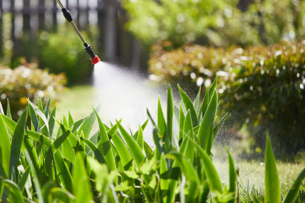 24/7 Emergency Mosquito Control experts in Madera Acres, CA