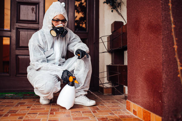Reliable Mosquito Control contractor in Madera Acres, CA by Show Me Pest Control